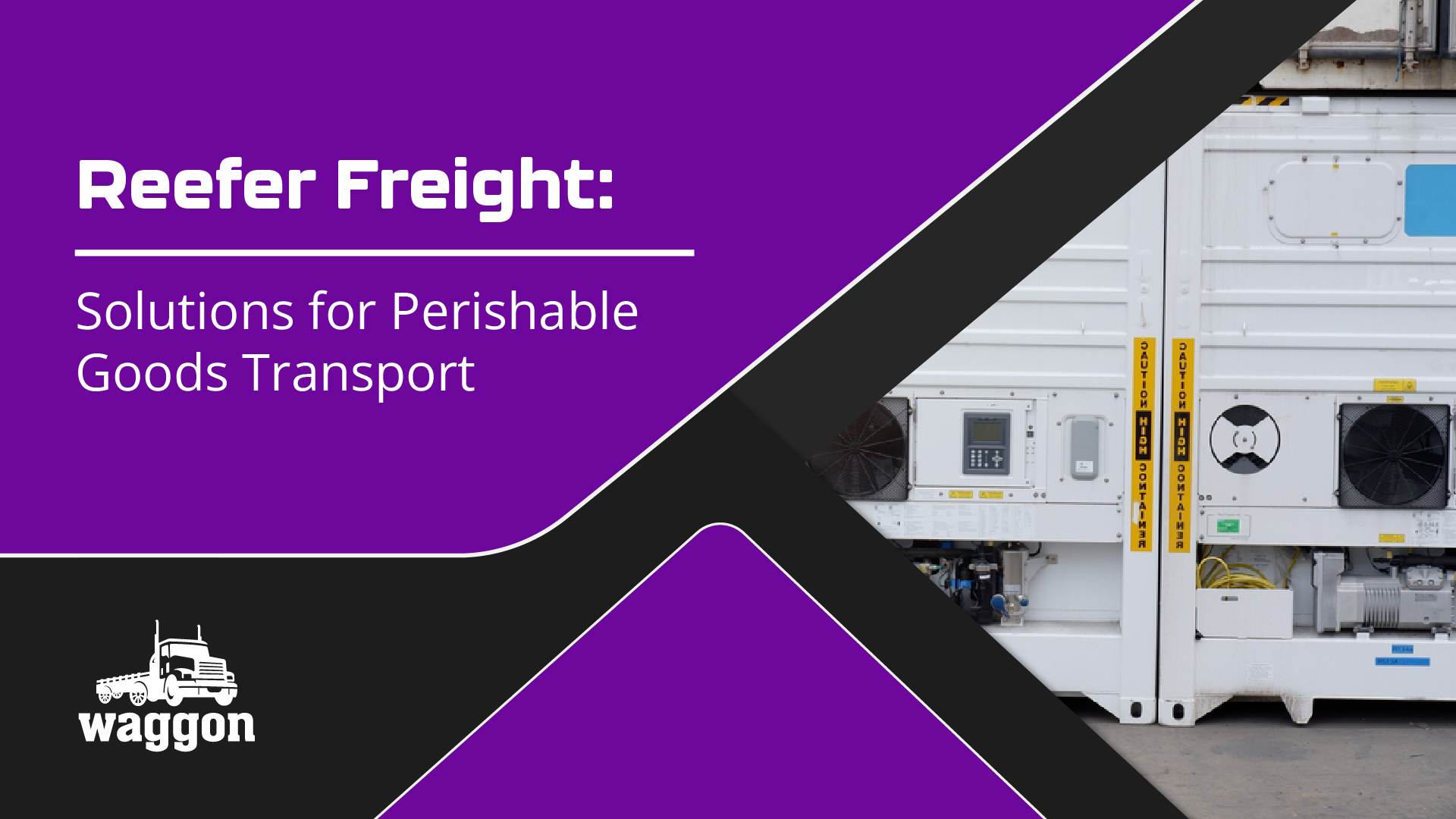 Reefer Freight: Solutions for Perishable Goods Transport