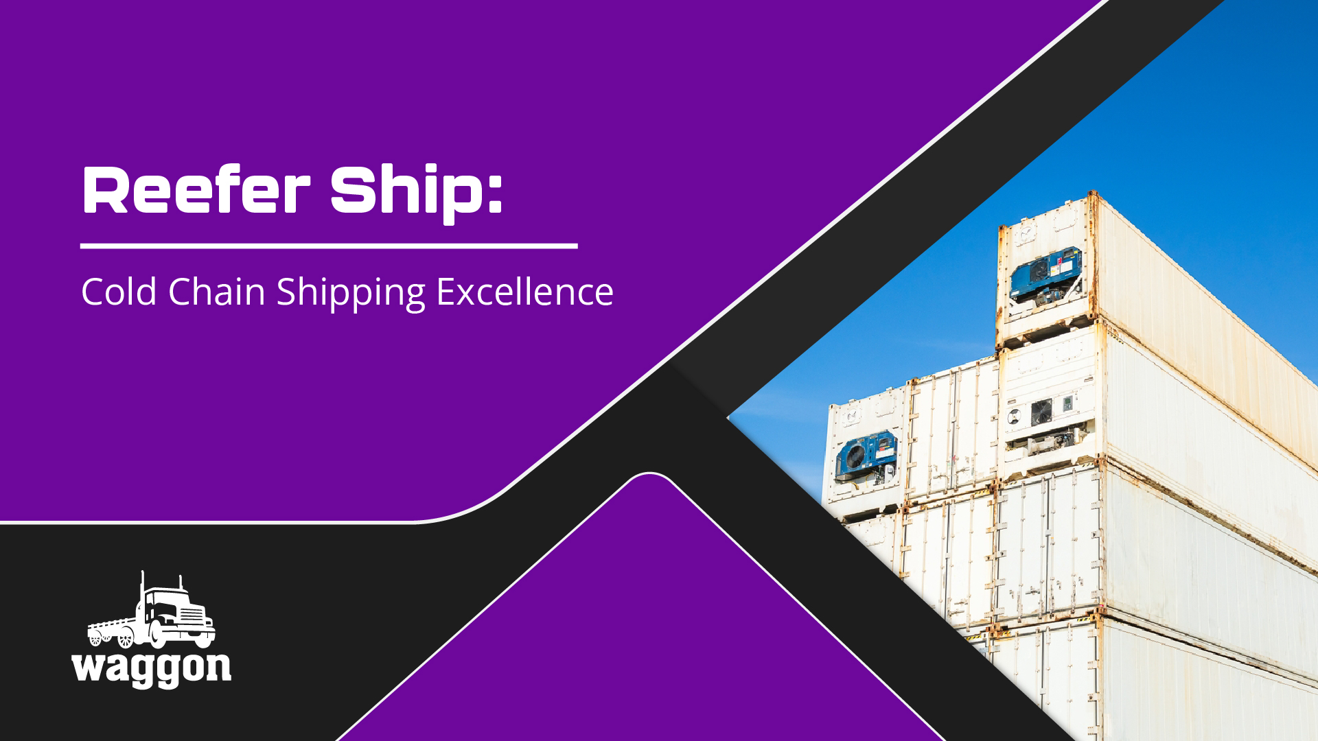 Reefer Ship: Cold Chain Shipping Excellence