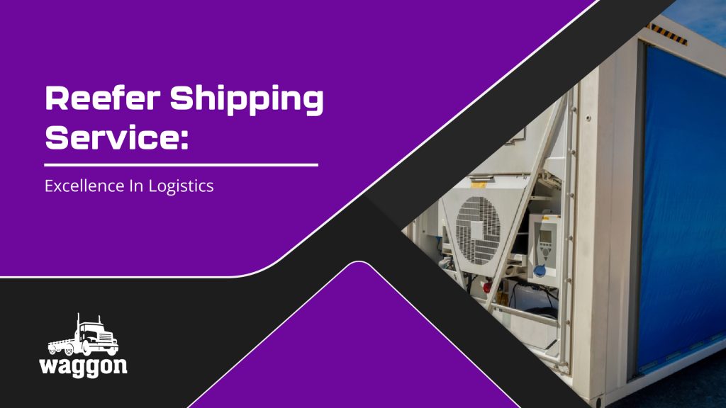 Reefer shipping service: excellence in logistics
