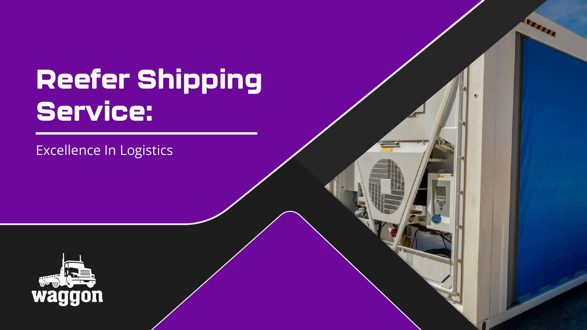 Reefer Shipping Service: Excellence in Logistics